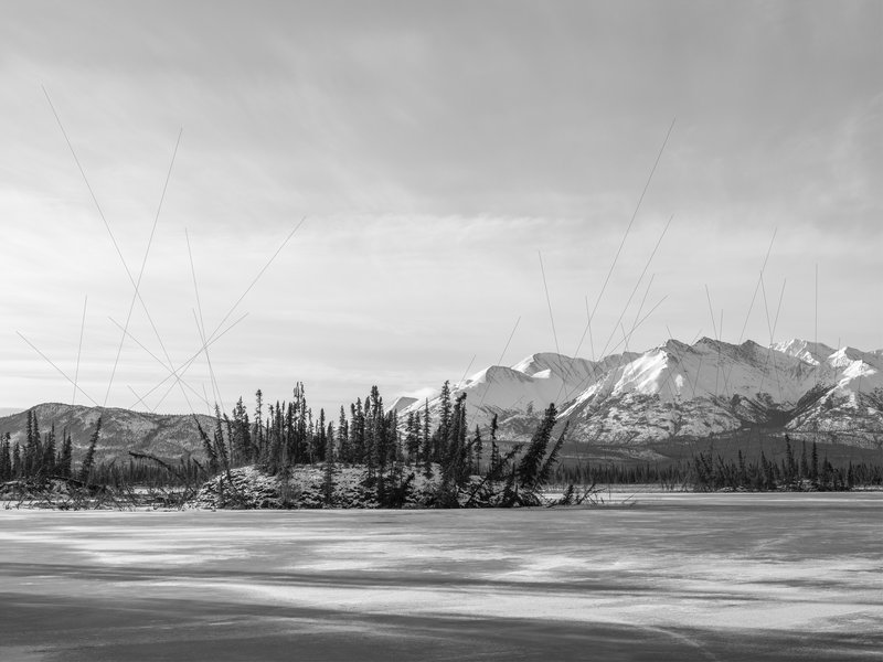 Benedikt Partenheimer, Drunken Trees on Thermokarst Lake, Alaska
