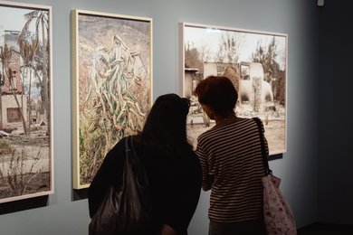 Julius von Bismarck, Normale Katatrophe © KunstHausWien, Foto: Robert Puteanu